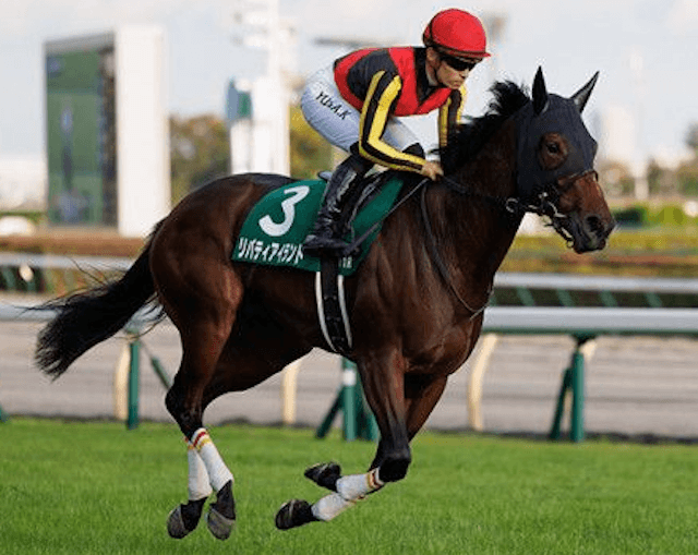 2023年大注目の牝馬リバティアイランドについて