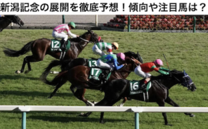 新潟記念2022画像