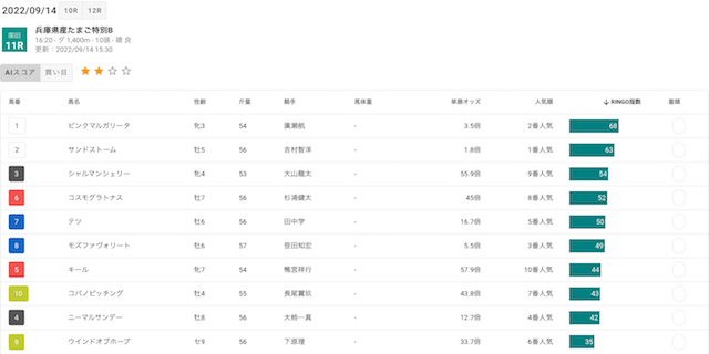 競馬予想AIRINGOの提供している無料予想の指標