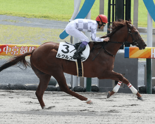 注目の2歳馬ルクルスの能力が発揮された新馬戦