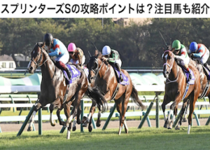 スプリンターズステークス2022画像