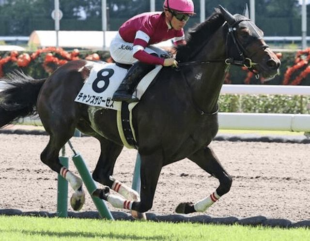 チャンスザローゼスの2歳の未勝利戦の結果