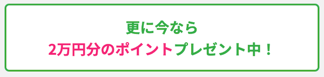 フヤセルのポイントについて