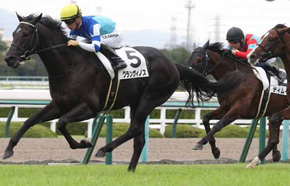 圧倒的なスピードで勝利したグランヴィノスの新馬戦