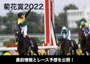 菊花賞2022画像