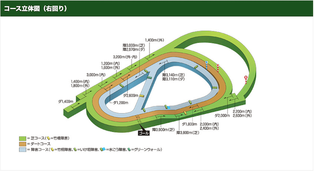 tanpuku＿阪神競馬場