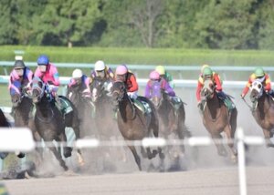 深く考えない競馬画像