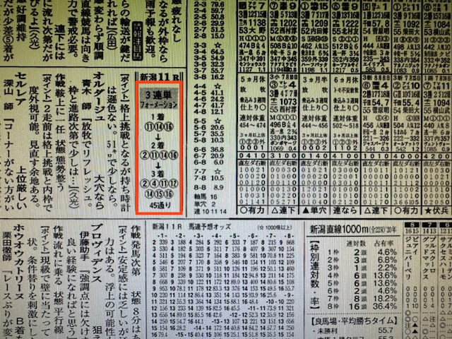 ほんプロ2021年8月14日新潟11R某有名競馬新聞社予想