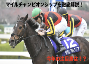 マイルチャンピオンシップ2022画像