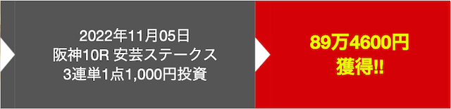 楽々3点競馬2022年11月5日的中実績