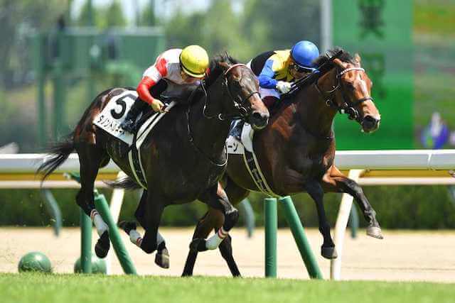 シャザーンデビュー戦