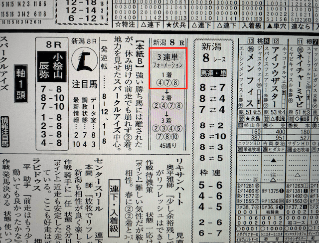 サラブレッド大学2022年10月29日無料情報新潟8R某有名競馬新聞社の予想