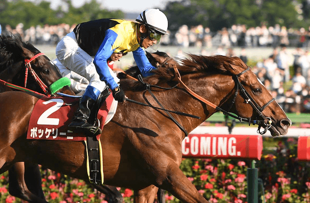 有馬記念2022年ボッケリーニ