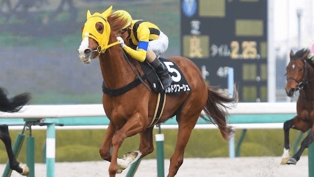 有馬記念2022年ボルドグフーシュ