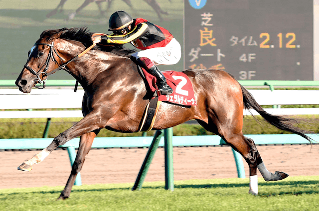 有馬記念2022年ジェラルディーナ