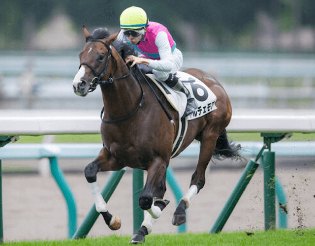 ルーラーシップの怪物ドルチェモアの新馬戦の圧勝劇について