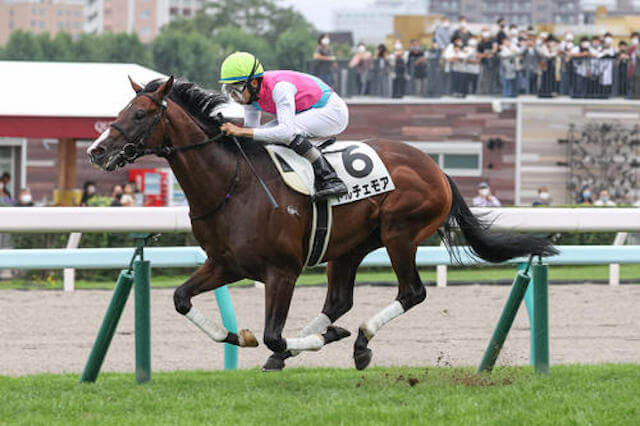 3歳馬ランキングTOP用ドルチェモア