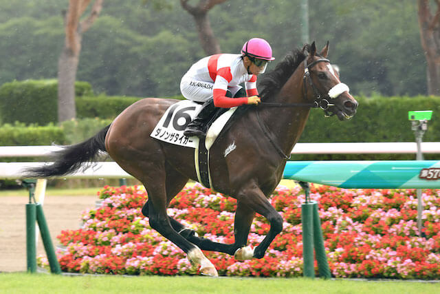 3歳馬ランキングダノンザタイガー