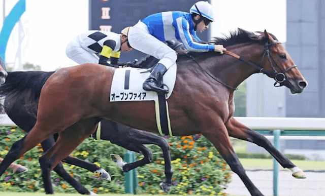 3歳馬ランキングオープンファイア