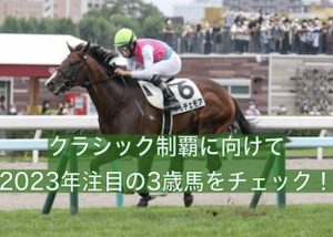 【2023】3歳馬ランキング画像