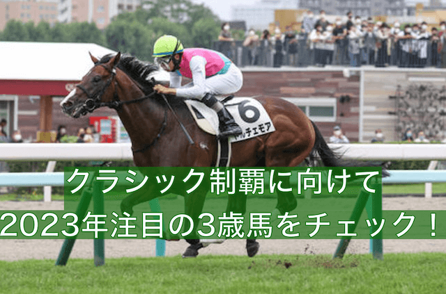 3歳馬ランキングTOP画像