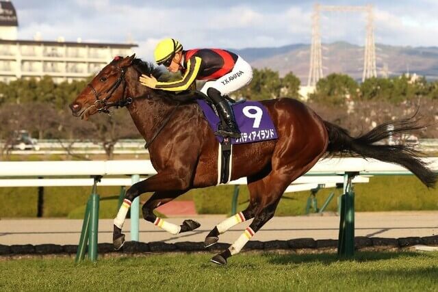 3歳馬ランキングリバティアイランド