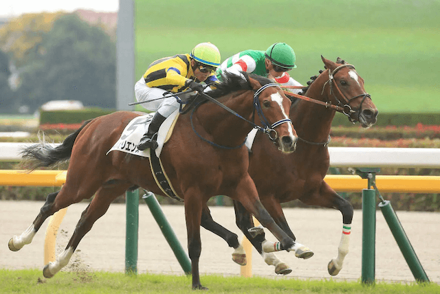 ソールオリエンス東京5R新馬戦