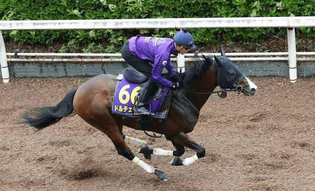 ドルチェモア安田記念