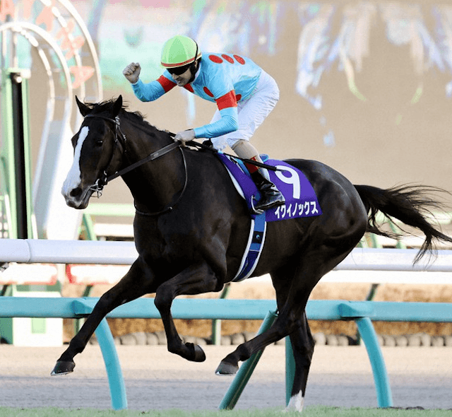 有馬記念を制したイクイノックスのレース結果と内容を紹介