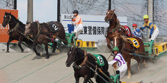 地方競馬と中央競馬の違いばんえい競馬