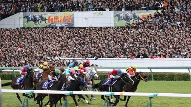 地方競馬と中央競馬の違いグレード