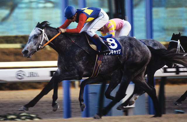 地方競馬と中央競馬の違いオグリキャップ