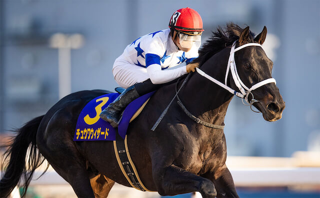 地方競馬と中央競馬の違い川崎記念