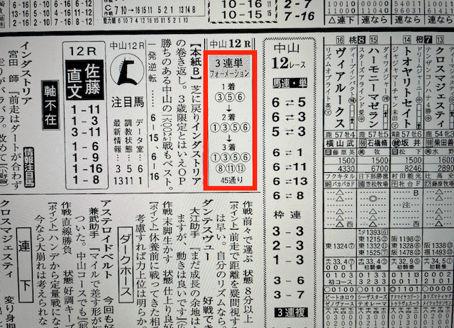 ファンファーレ2022年12月28日無料情報中山12R某有名競馬新聞社