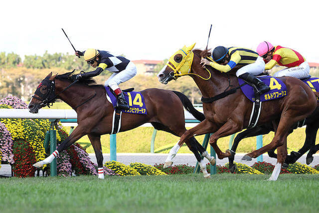 3歳馬ランキング菊花賞2022