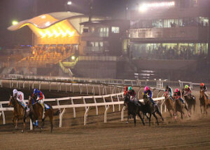 地方競馬のライブ配信・レース情報を閲覧する方法！画像