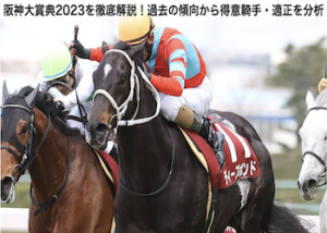 阪神大賞典2023画像