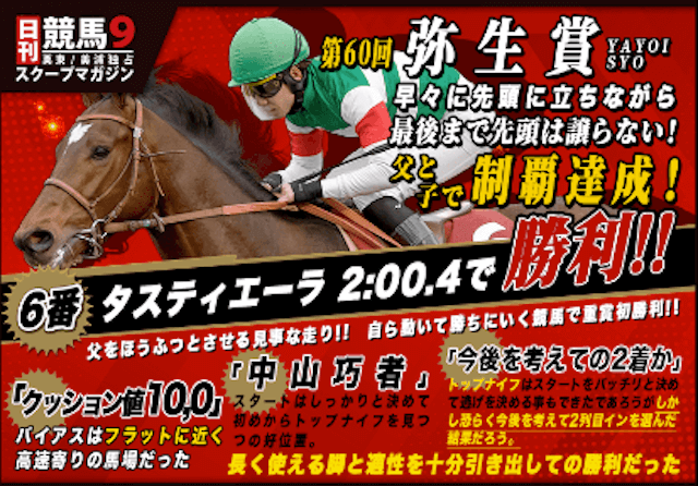 馬単ボックス日刊競馬9