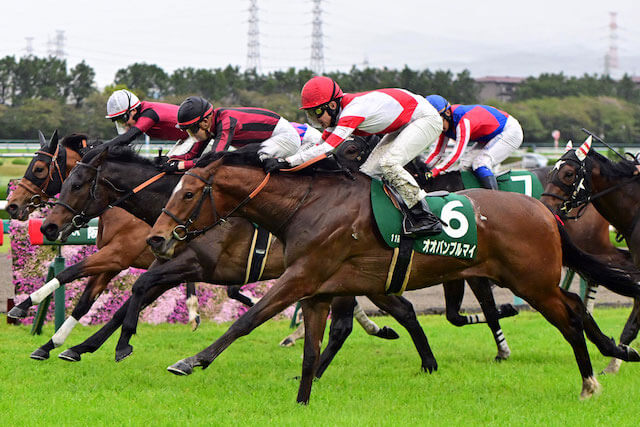 雨の日の競馬アーリントンカップ