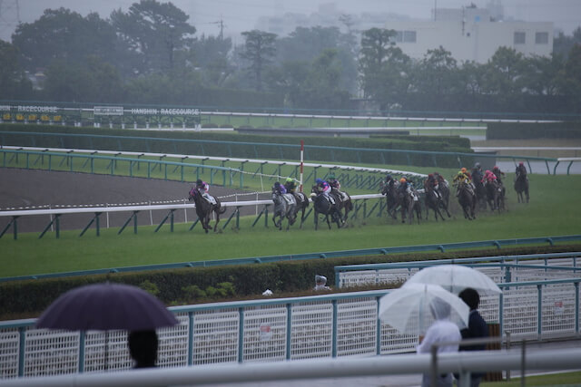 雨の日の競馬まとめ