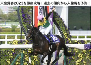 天皇賞(春)2023画像