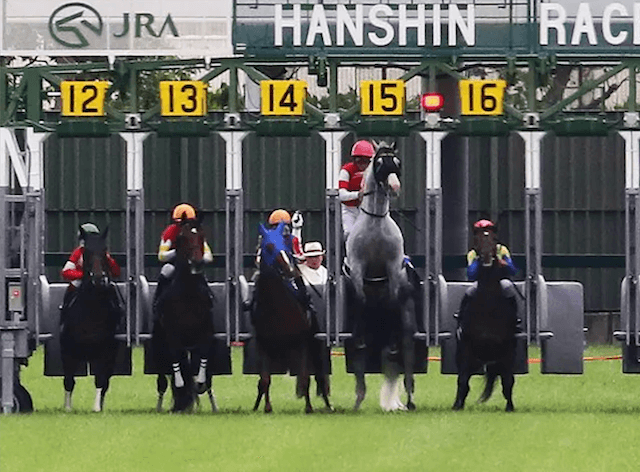 競馬で運が悪い時2015年宝塚記念ゴールドシップ