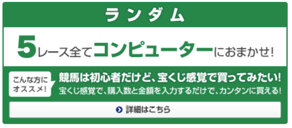 WIN5の買い方①ランダム