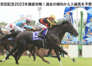 安田記記念2023画像