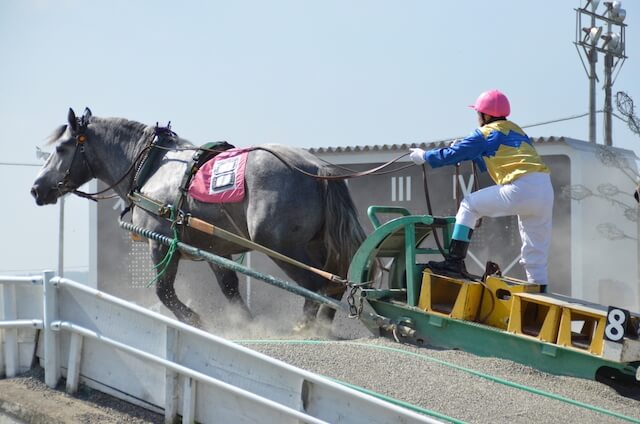 地方競馬クラス分け帯広