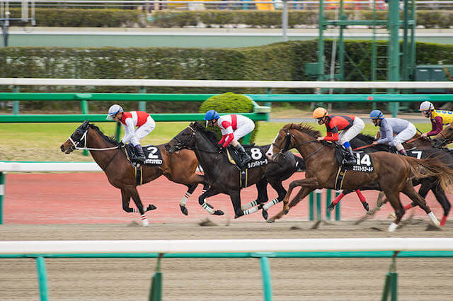 地方競馬クラス分け南関東競馬