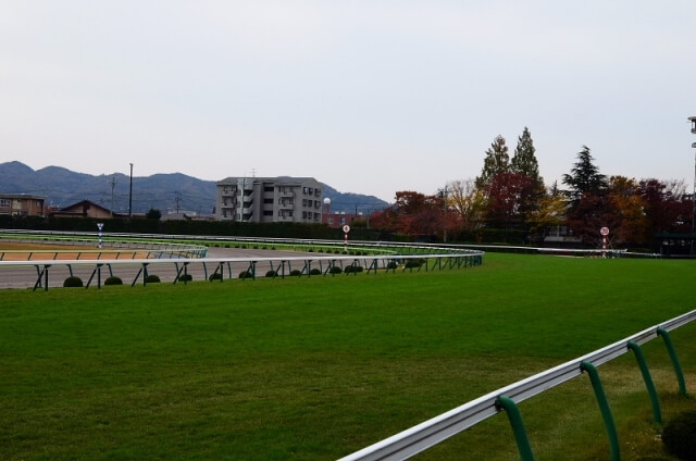 競馬初心者　中央競馬と地方競馬の違い