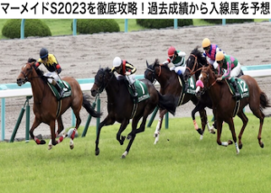 マーメイドステークス2023画像