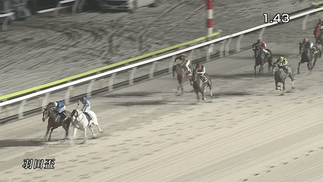 大井競馬場の羽田盃