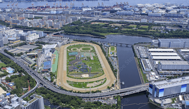 大井競馬場　特徴